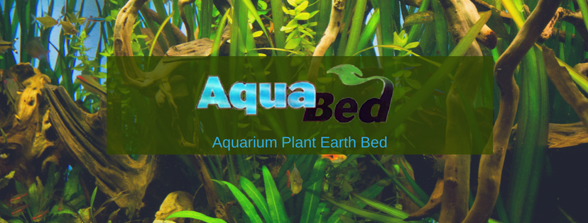 Aqua Bed LLC