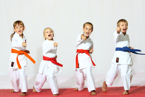 Sylvania Family Karate