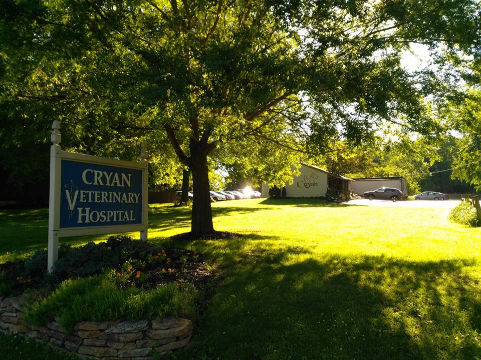 Cryan Veterinary Hospital