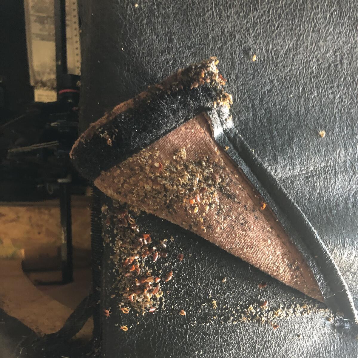 Photo credit: nextdoor