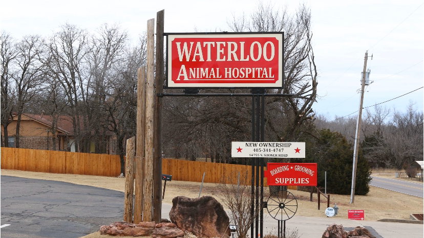 Waterloo Animal Hospital