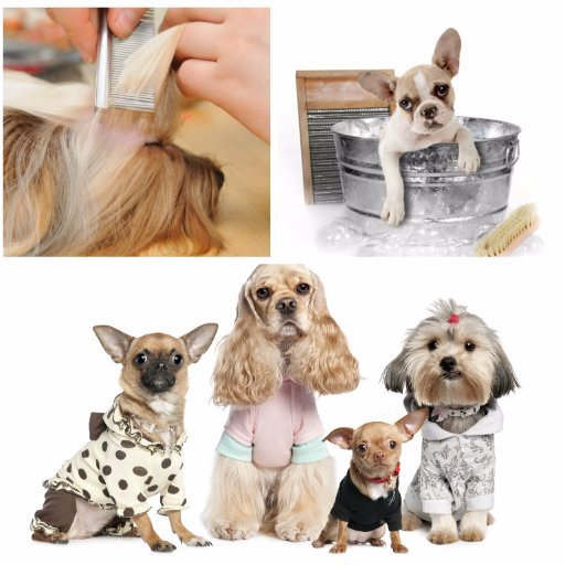 Pampered Pets Grooming and Resort 36455 S 580 Rd, Jay Oklahoma 74346