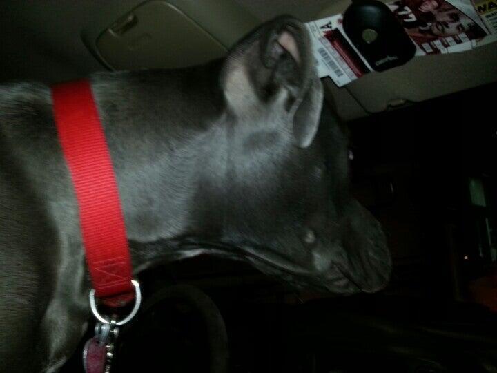 Photo credit: nextdoor