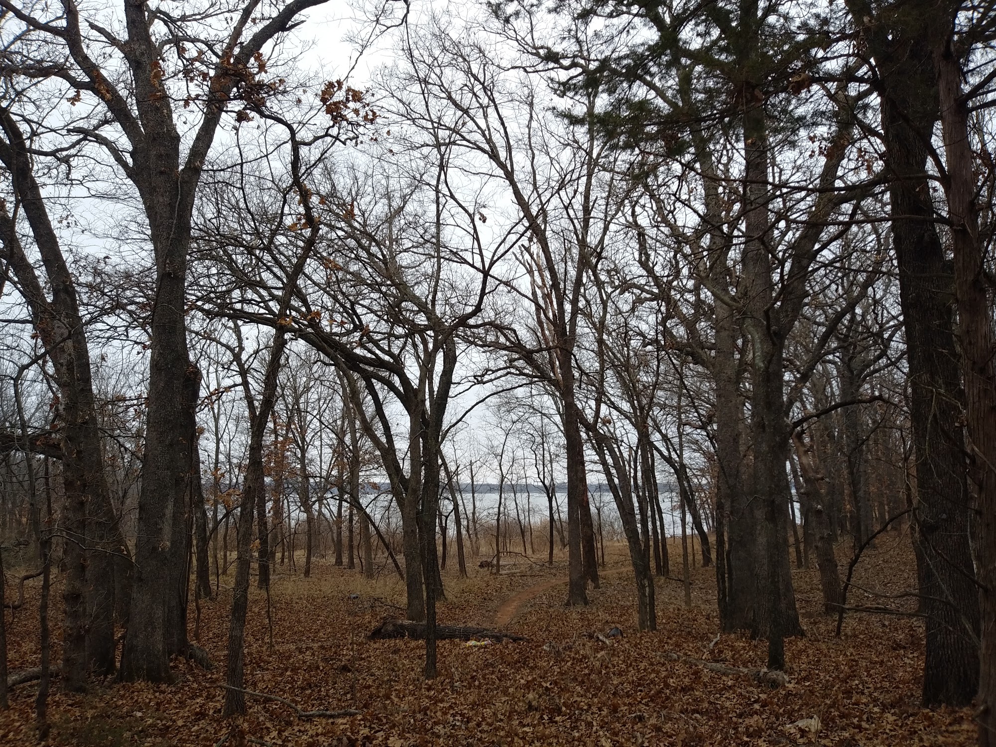 Clear Bay Trails Trailhead