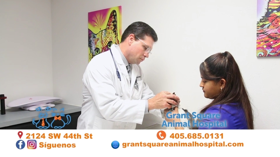 Grant Square Animal Hospital