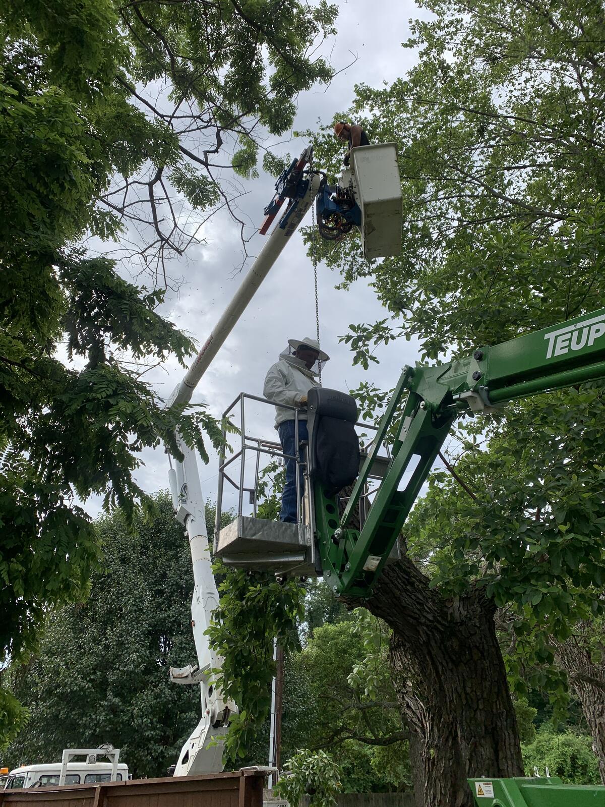 Photo credit: nextdoor