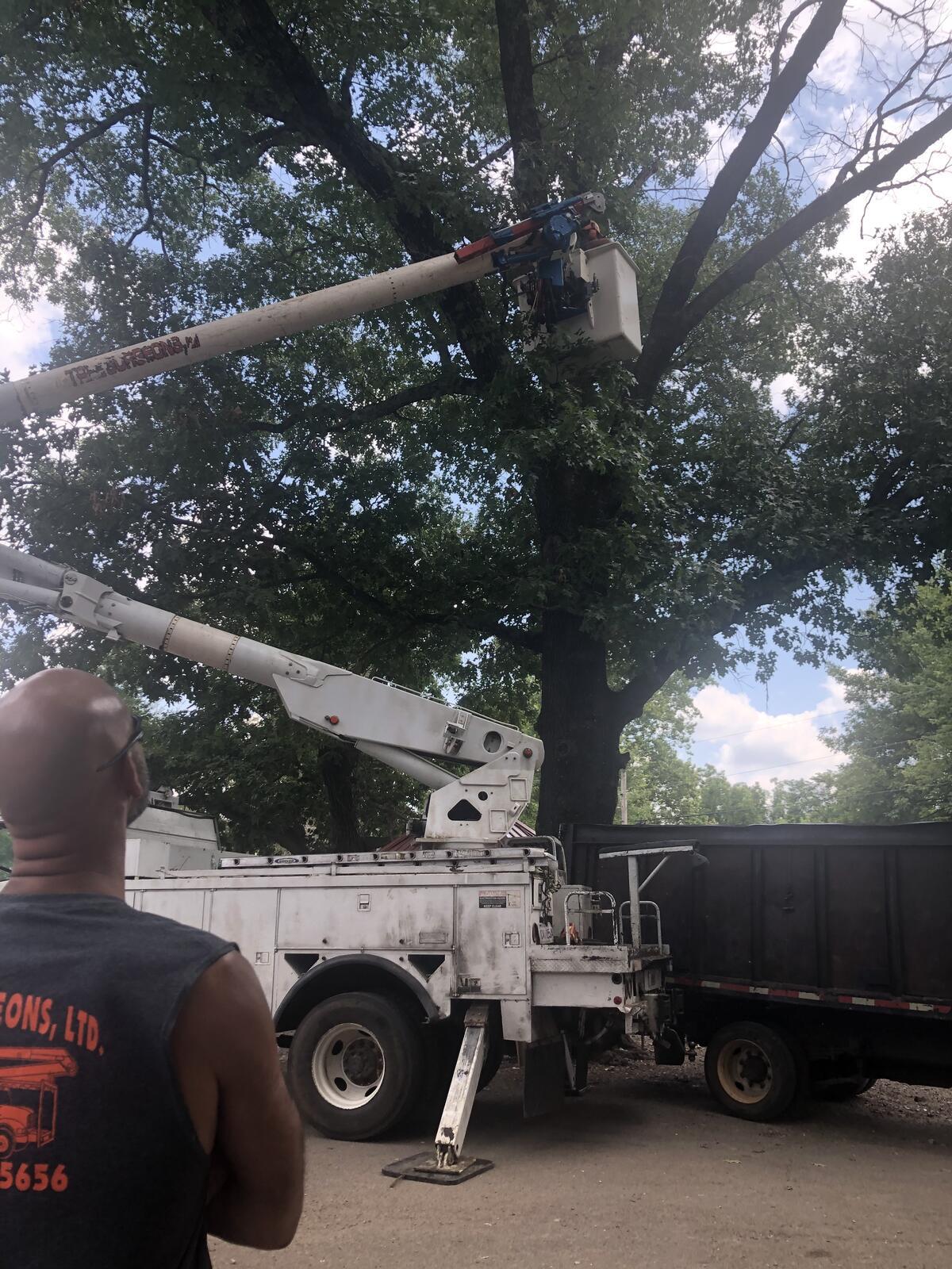 Photo credit: nextdoor