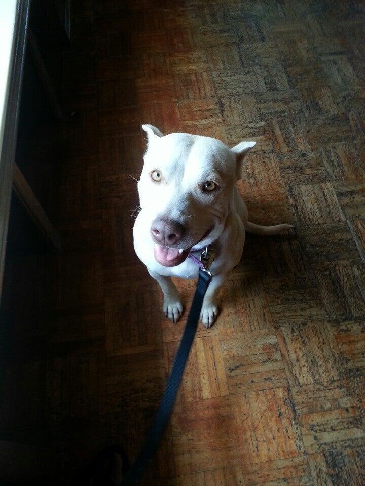 Photo credit: nextdoor