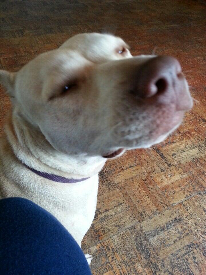 Photo credit: nextdoor