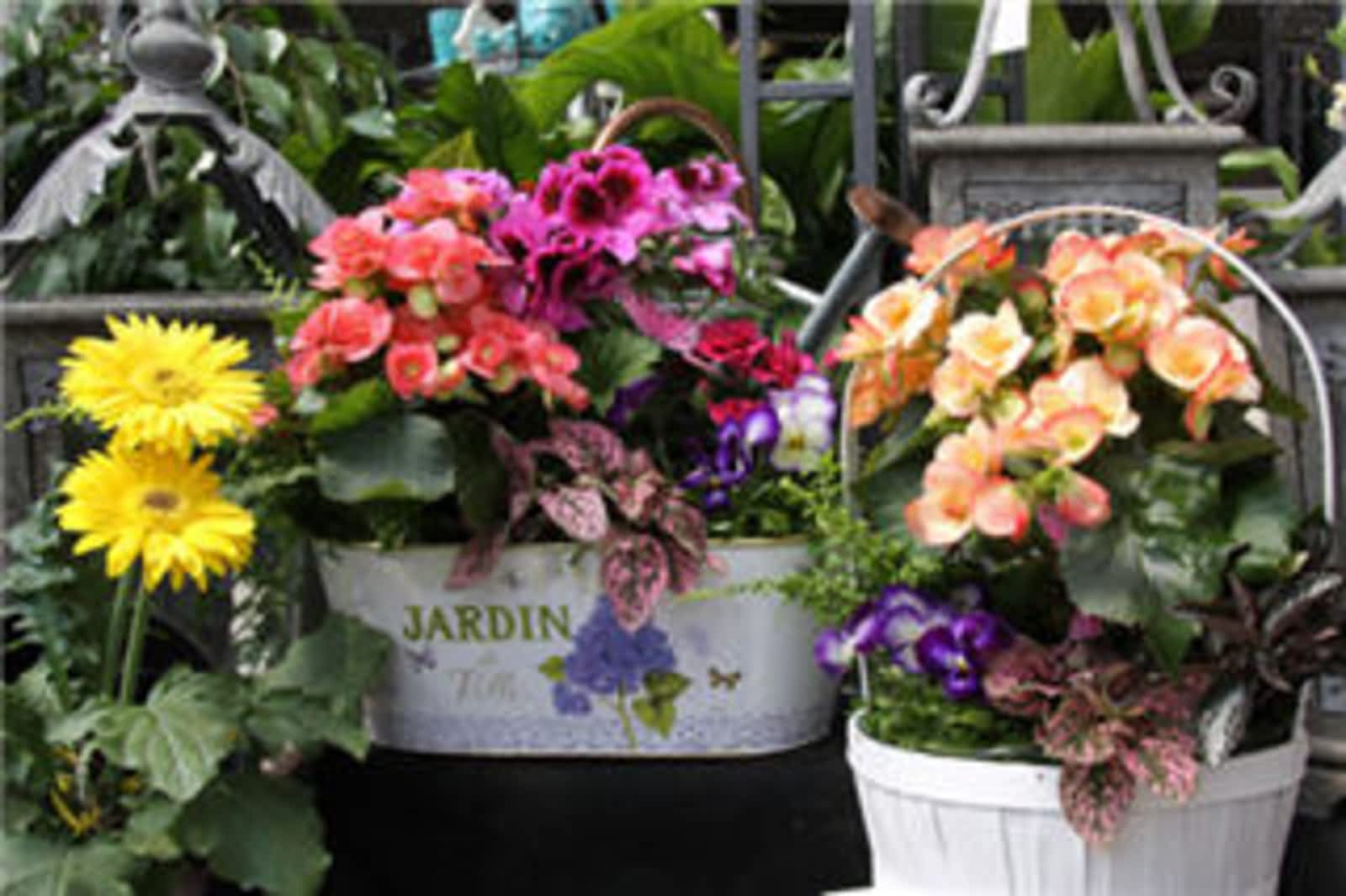 Photo credit: yellowpages.ca