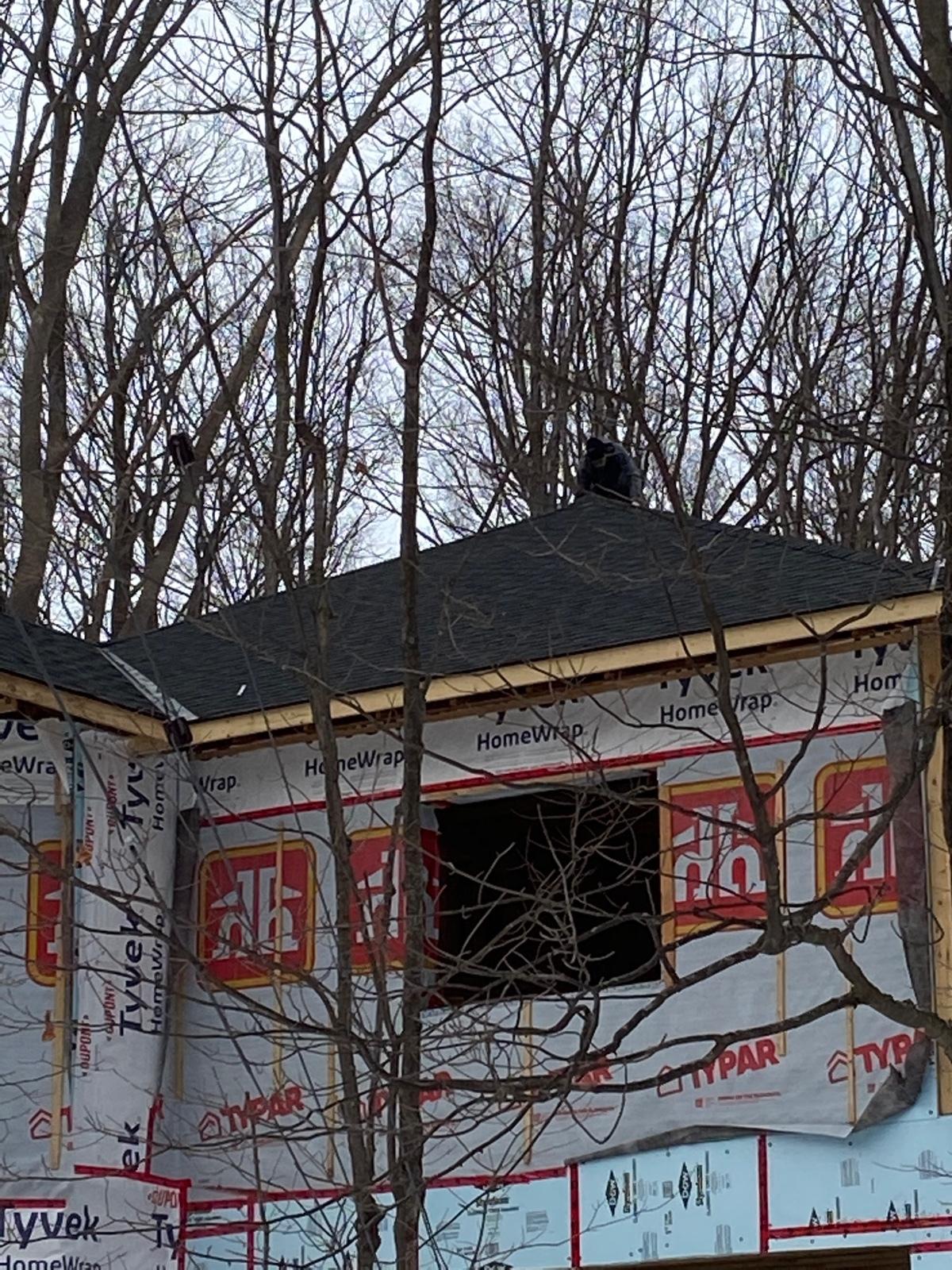 Photo credit: homestars