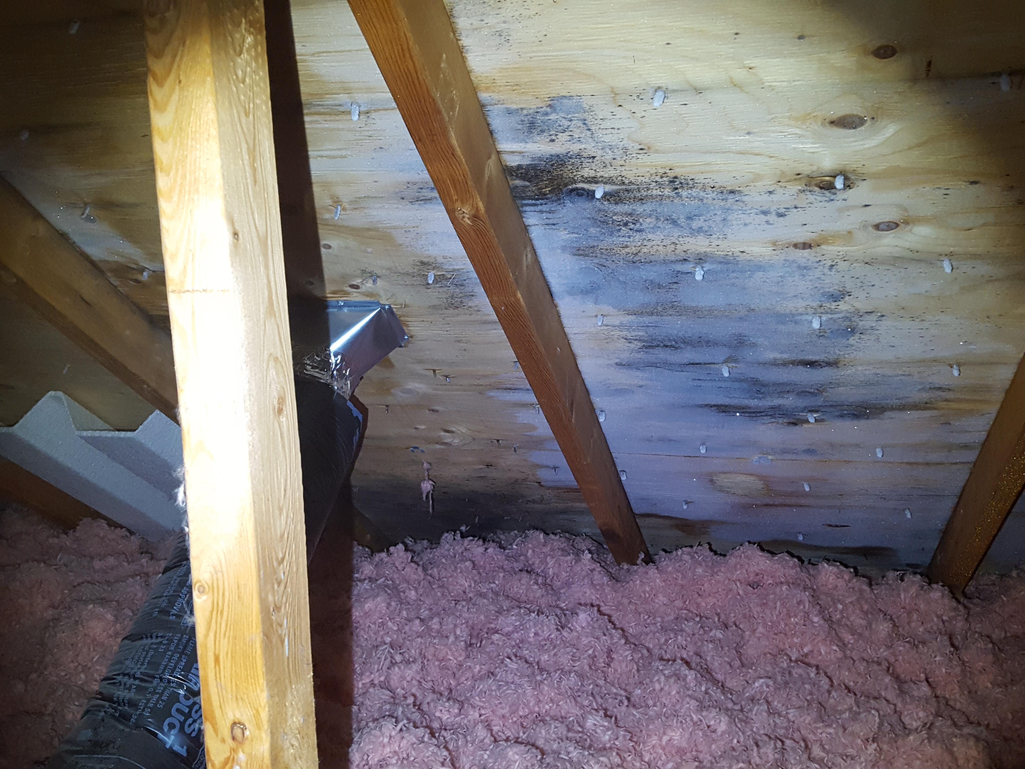 Photo credit: homestars