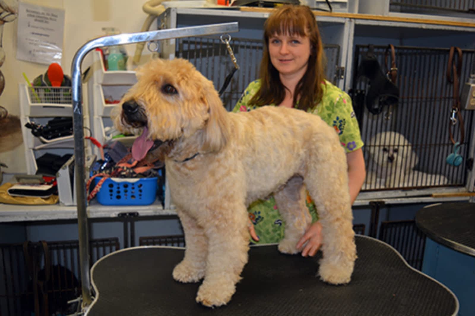 Photo credit: yellowpages.ca