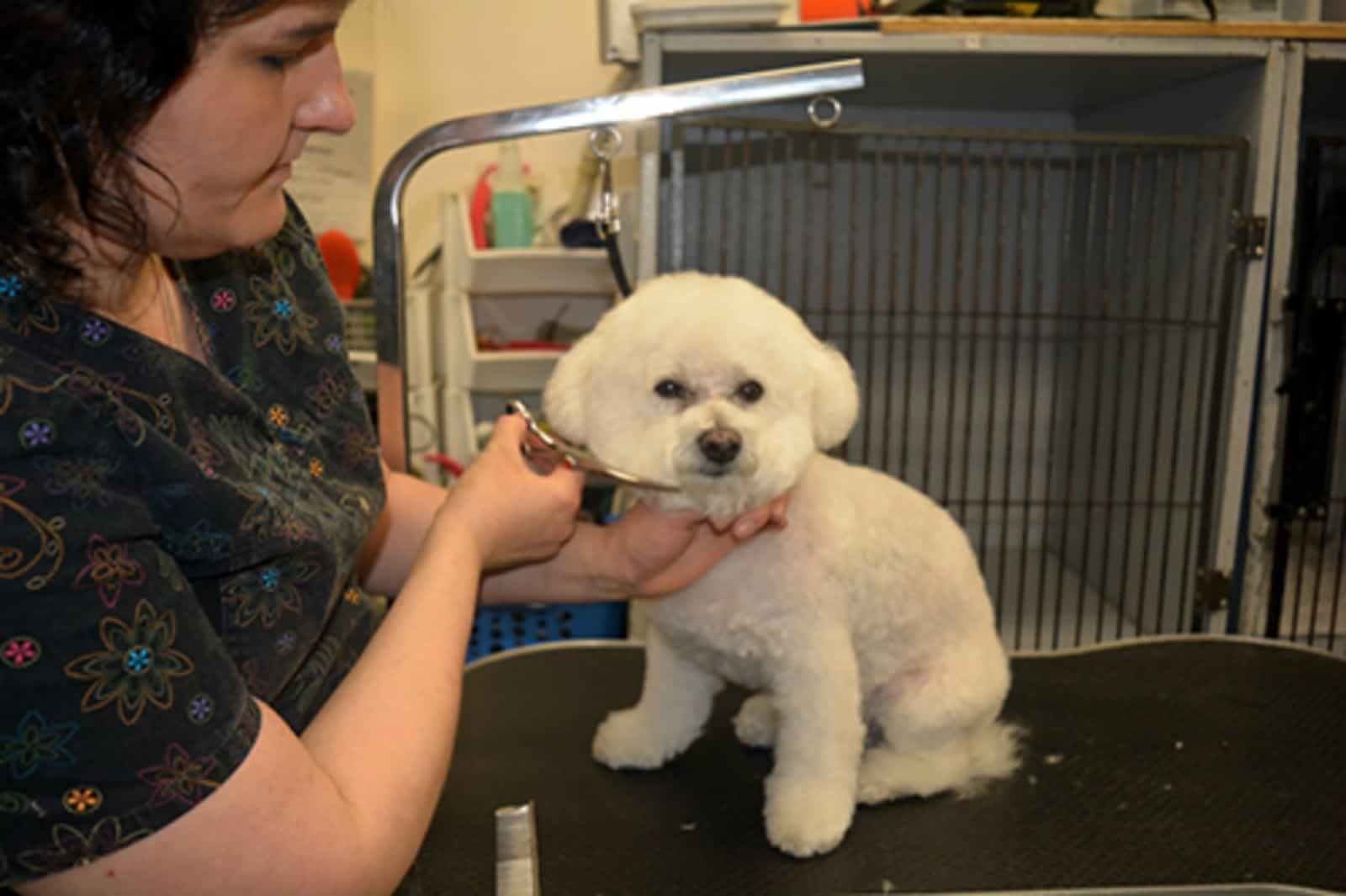 Photo credit: yellowpages.ca