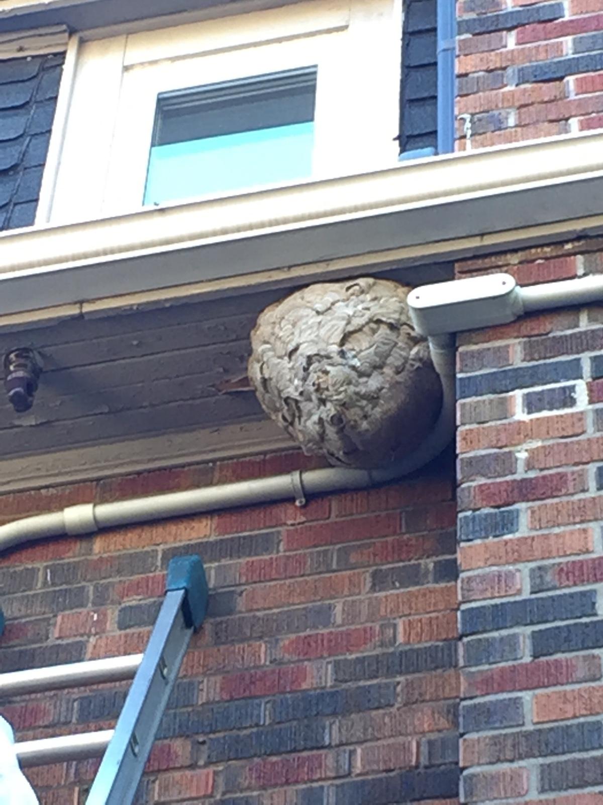 Photo credit: homestars