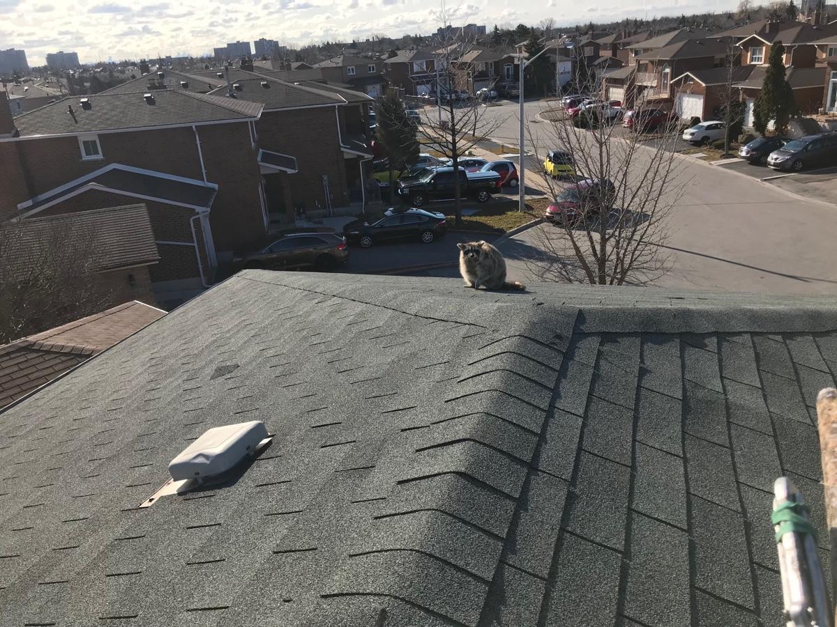 Photo credit: homestars