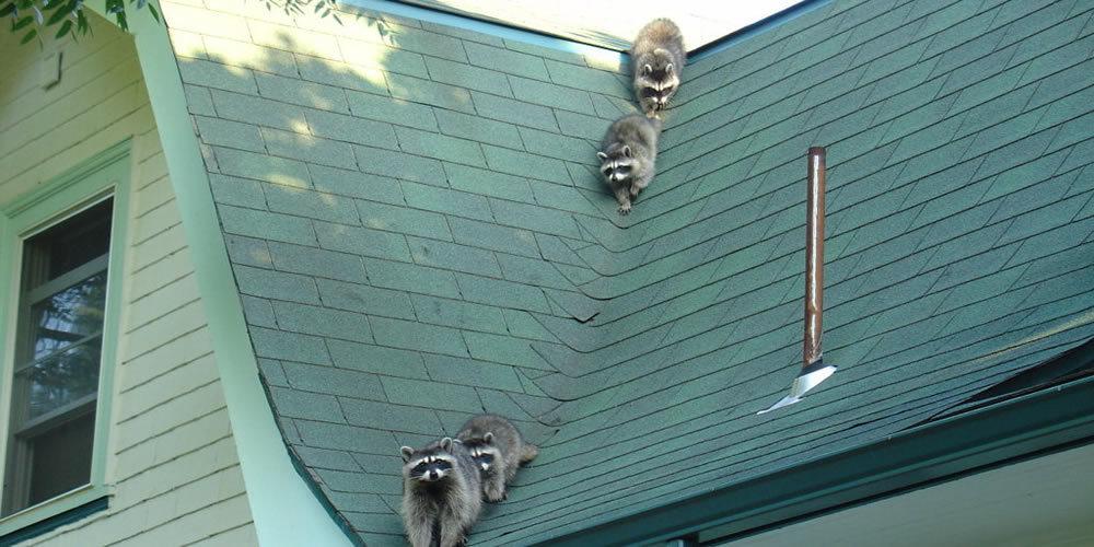 Photo credit: homestars