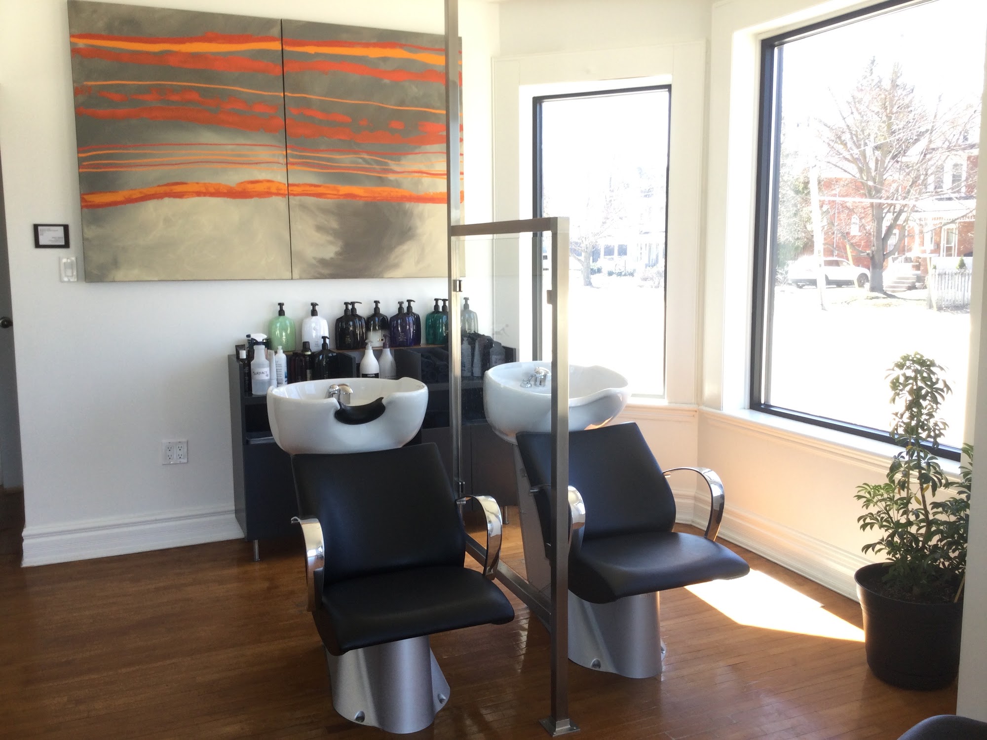 DAVID HILLIS SALON