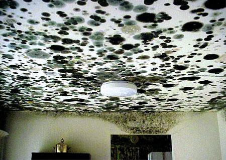 Photo credit: homestars