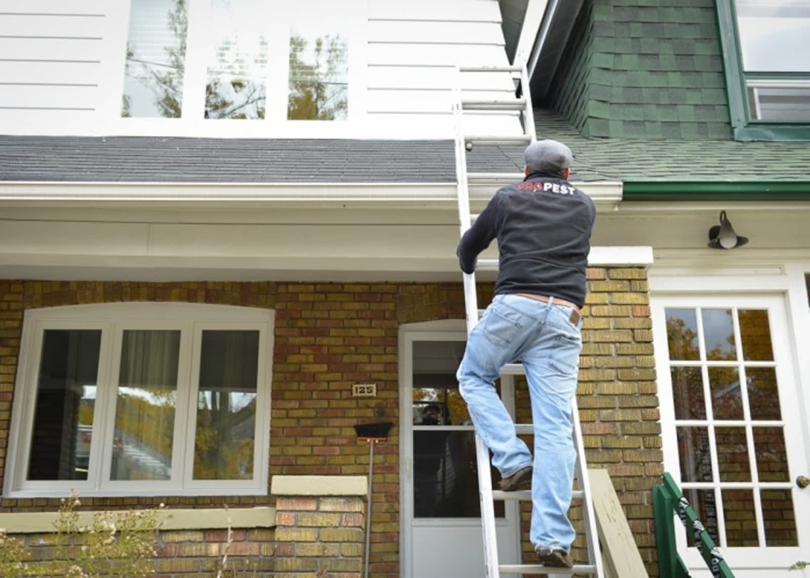 Photo credit: yellowpages.ca