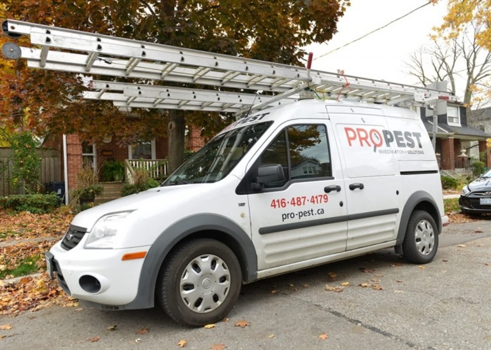 Photo credit: yellowpages.ca