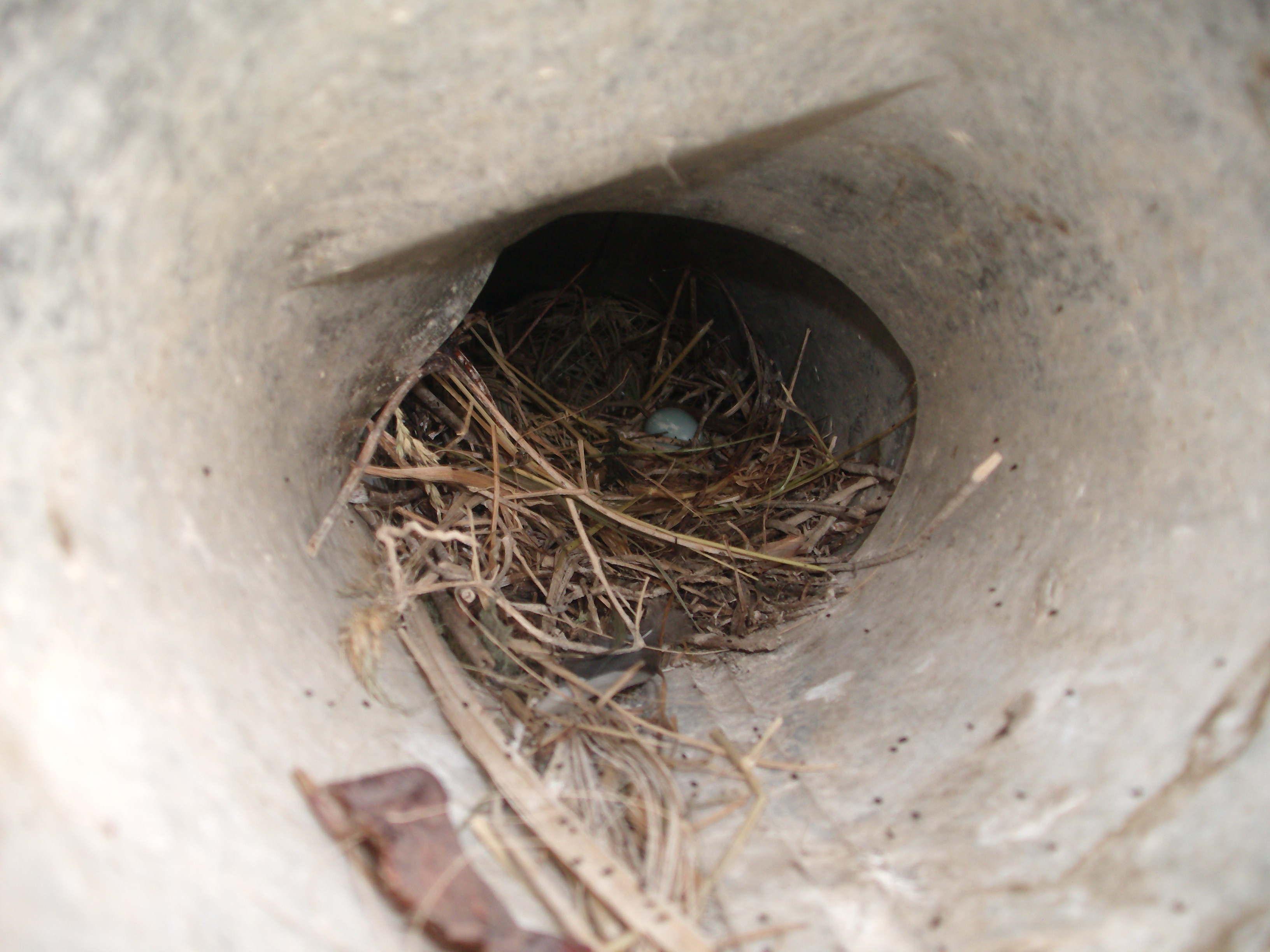 Photo credit: homestars