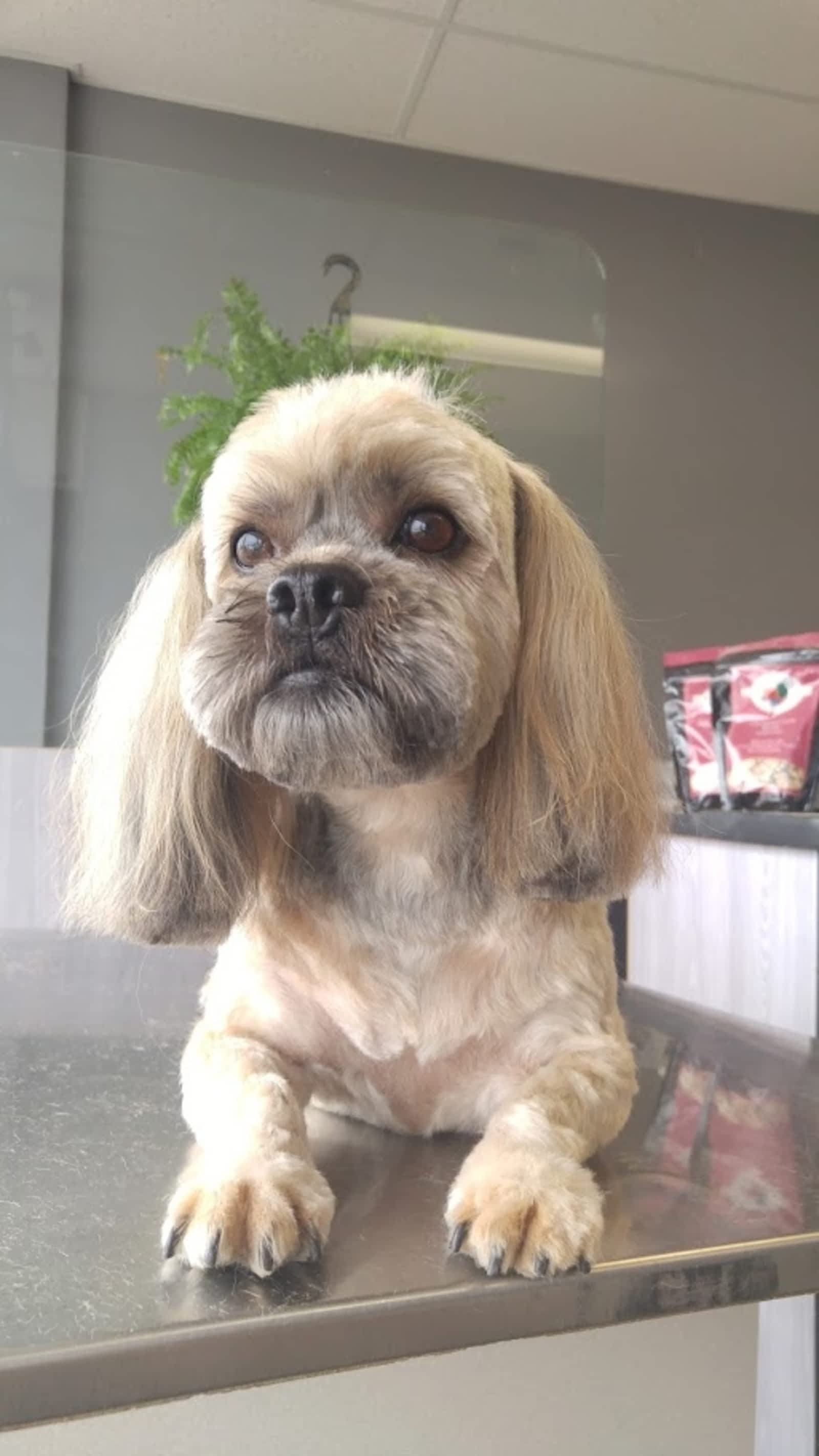 Photo credit: yellowpages.ca