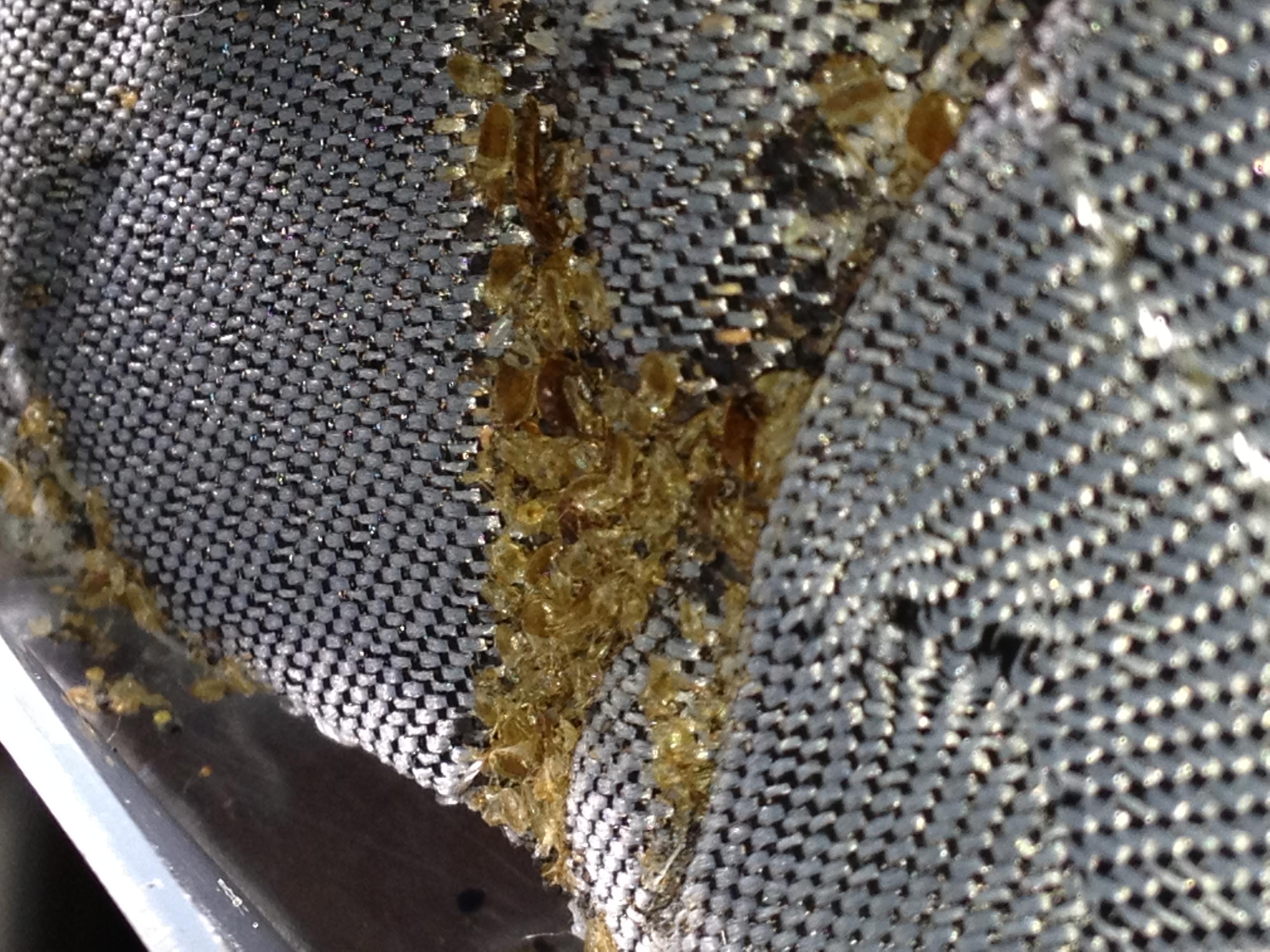 Photo credit: homestars