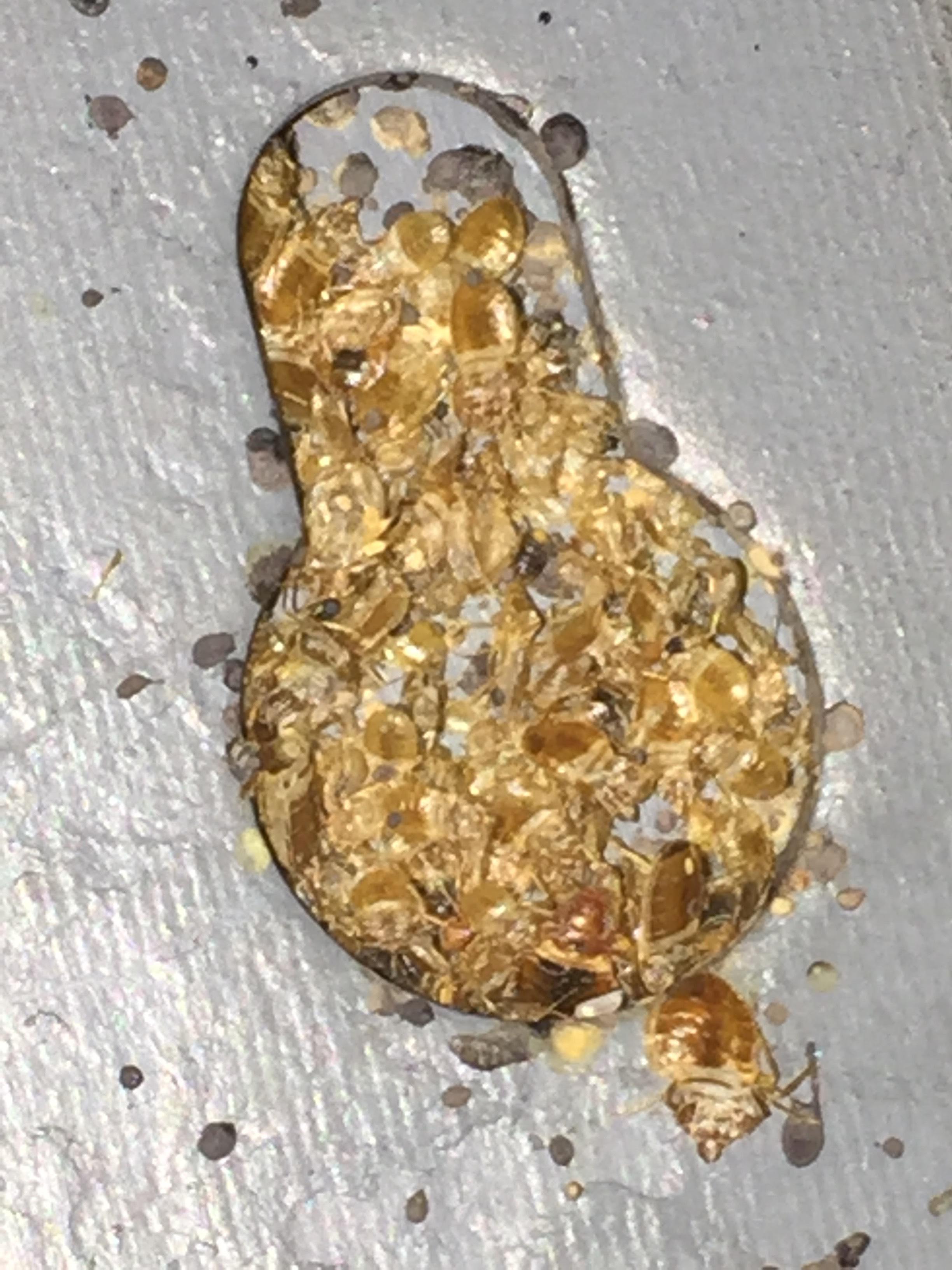 Photo credit: homestars