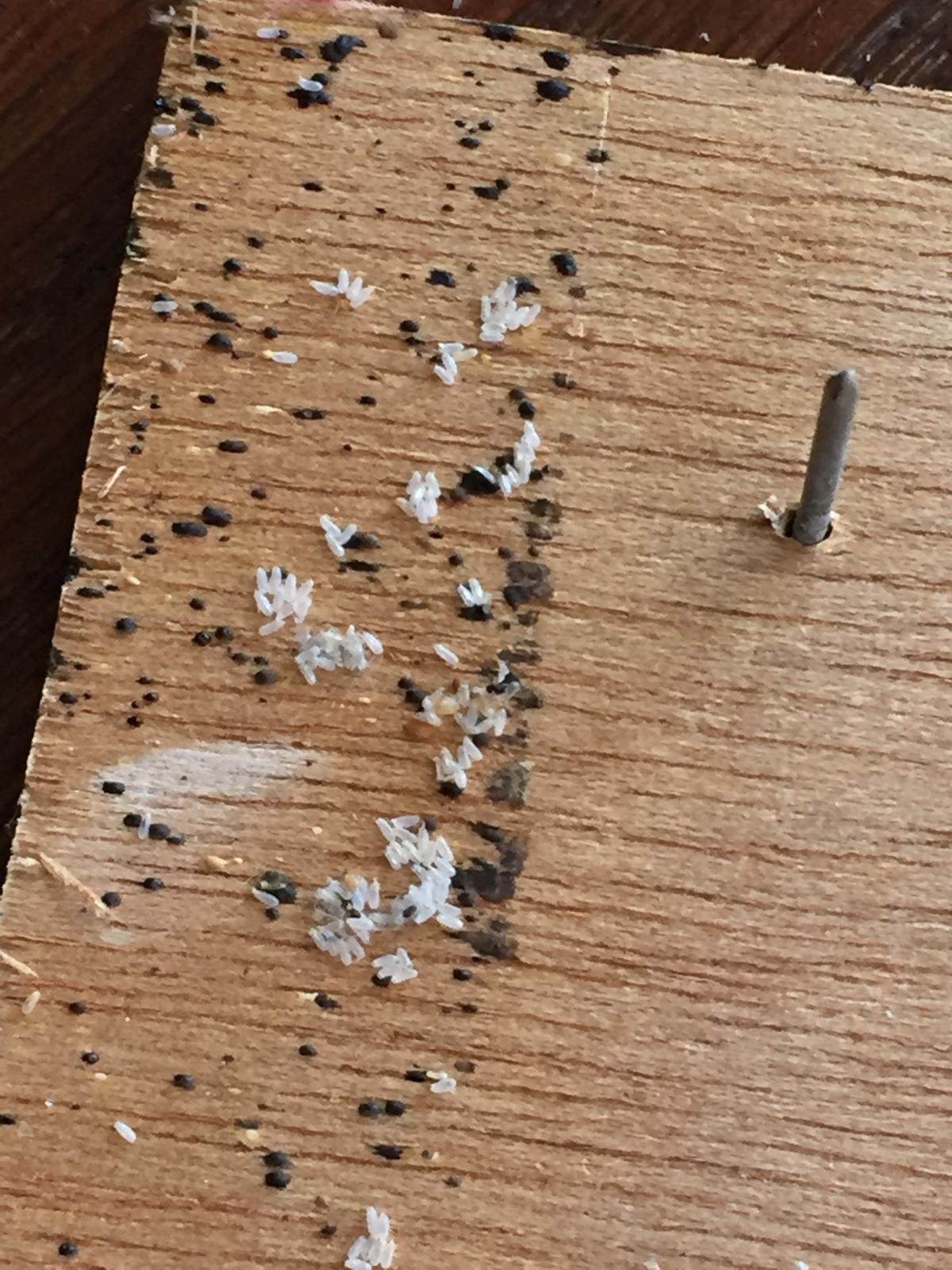 Photo credit: homestars