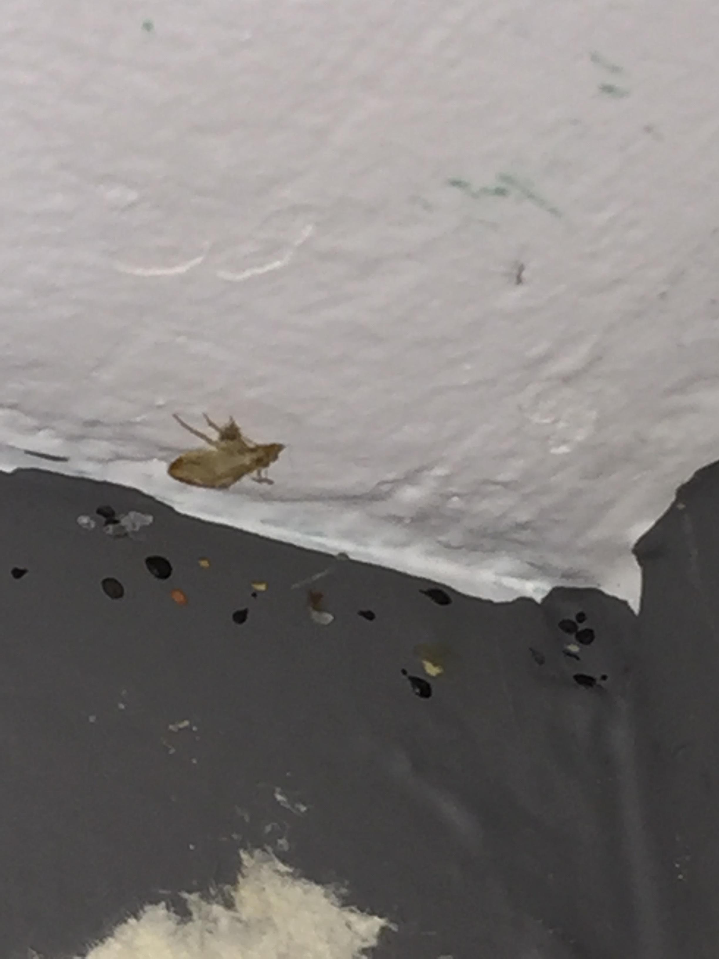 Photo credit: homestars