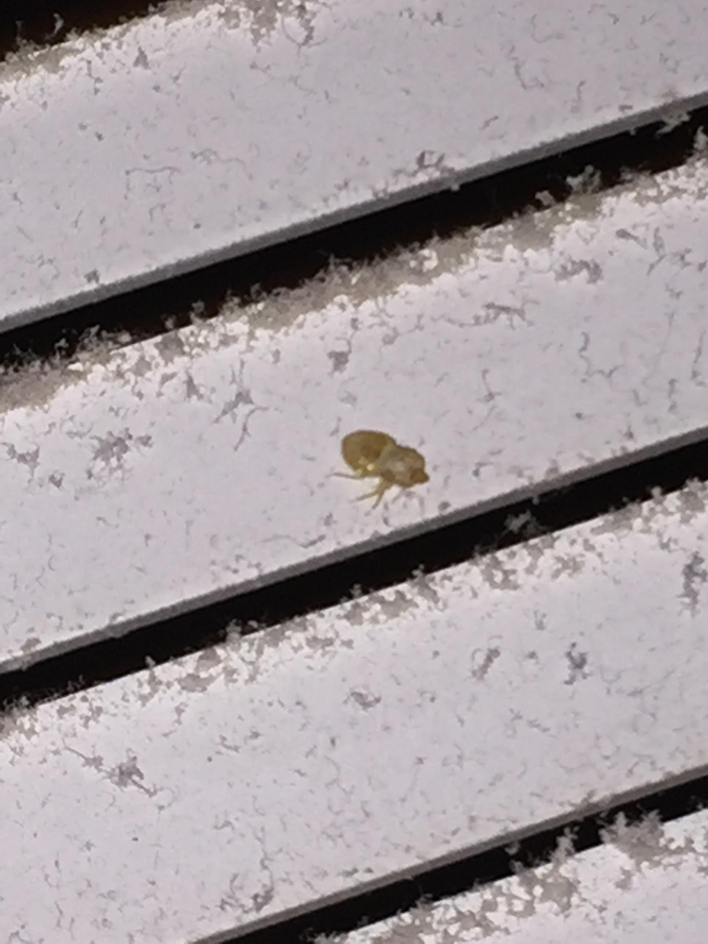 Photo credit: homestars