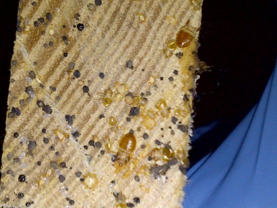 Photo credit: homestars