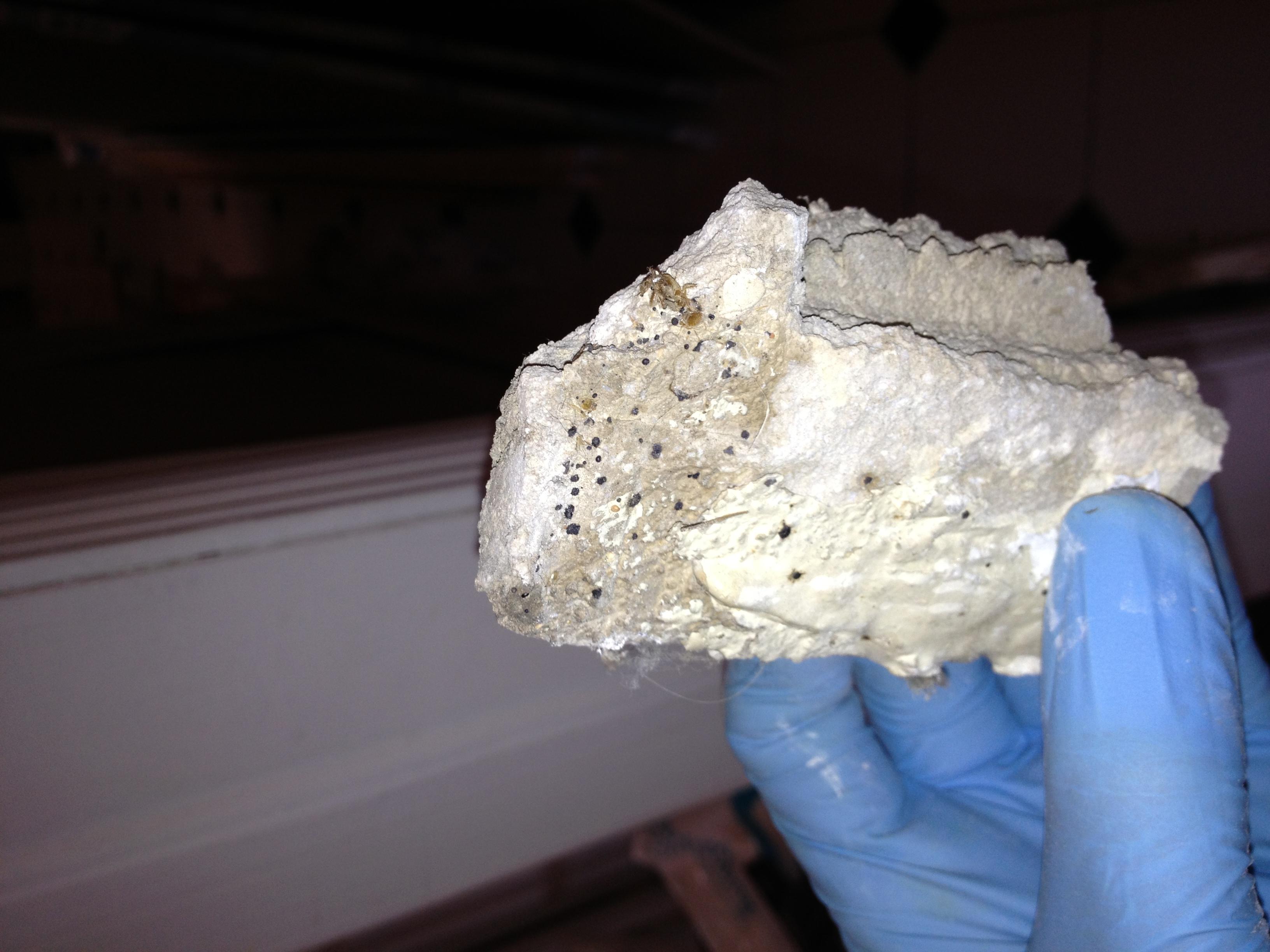 Photo credit: homestars