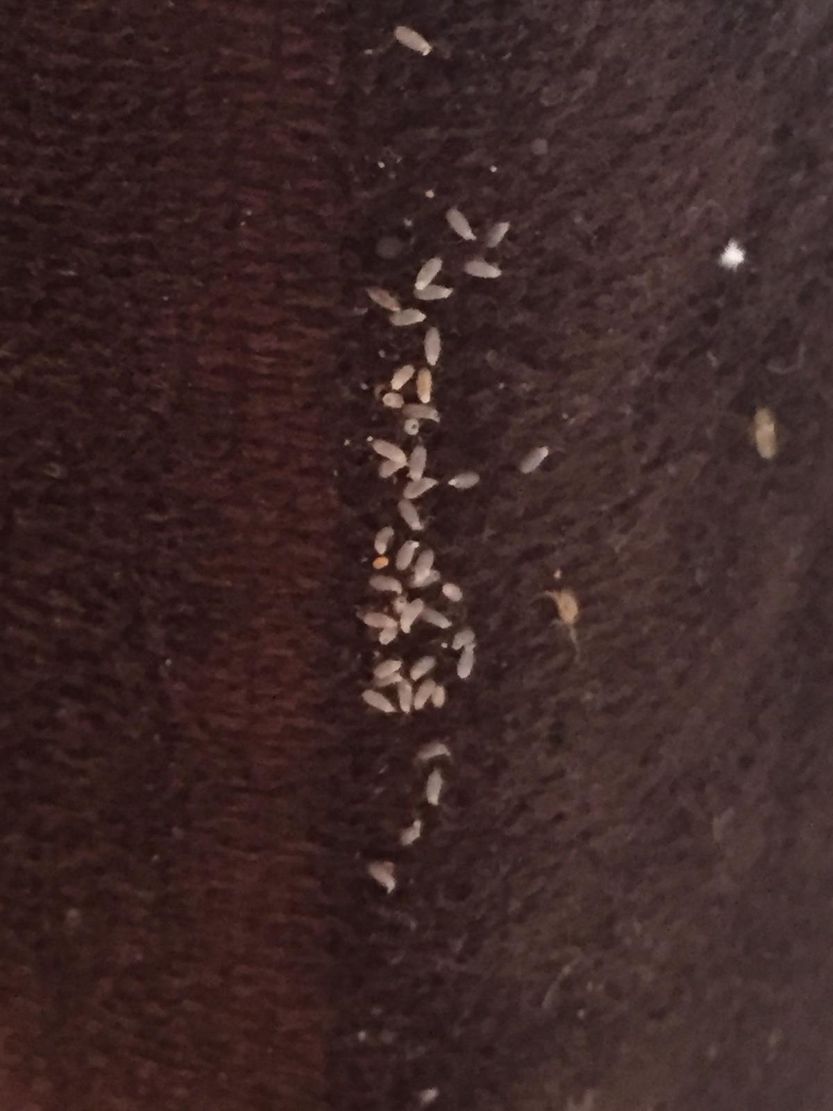 Photo credit: homestars