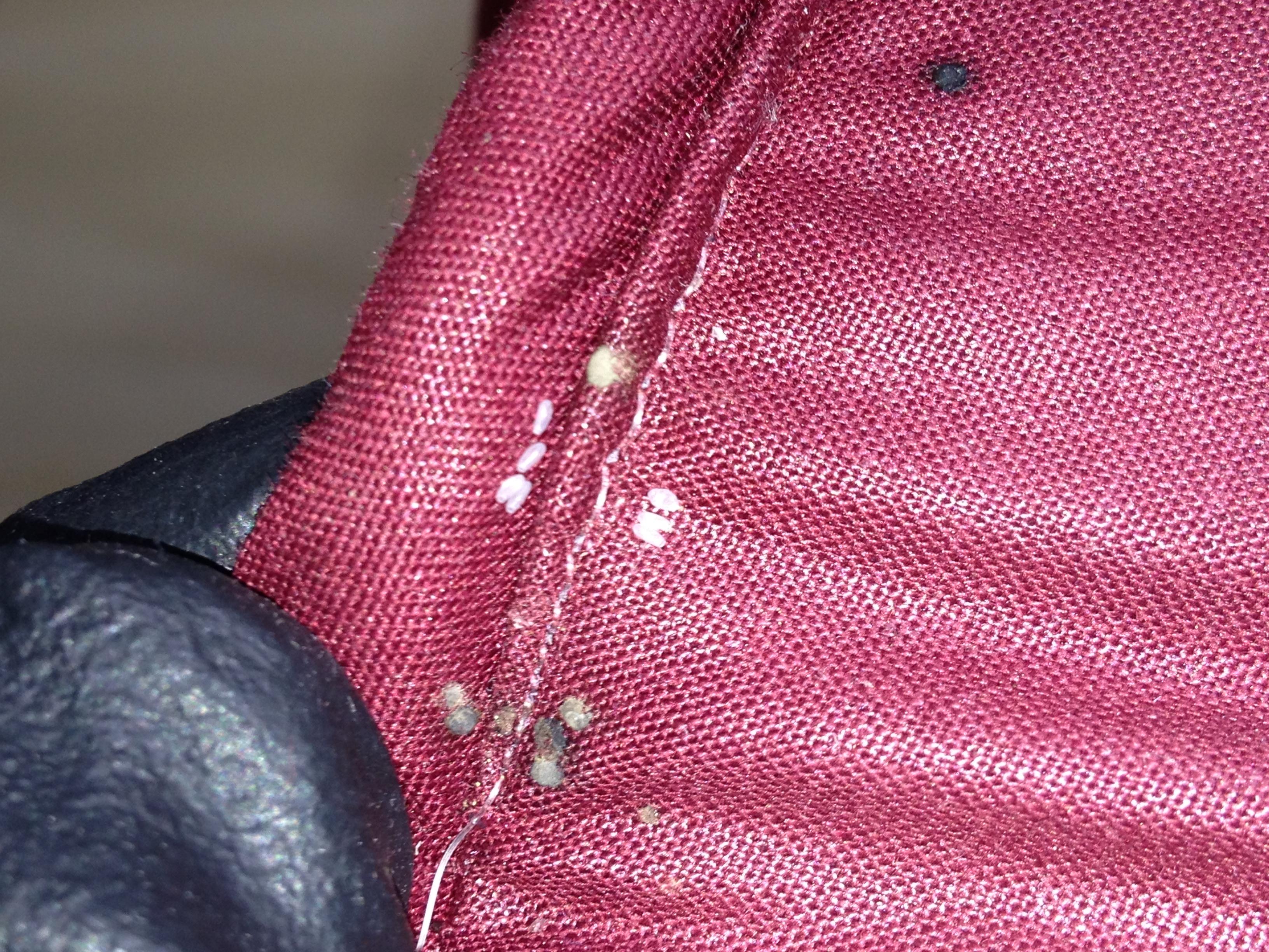 Photo credit: homestars