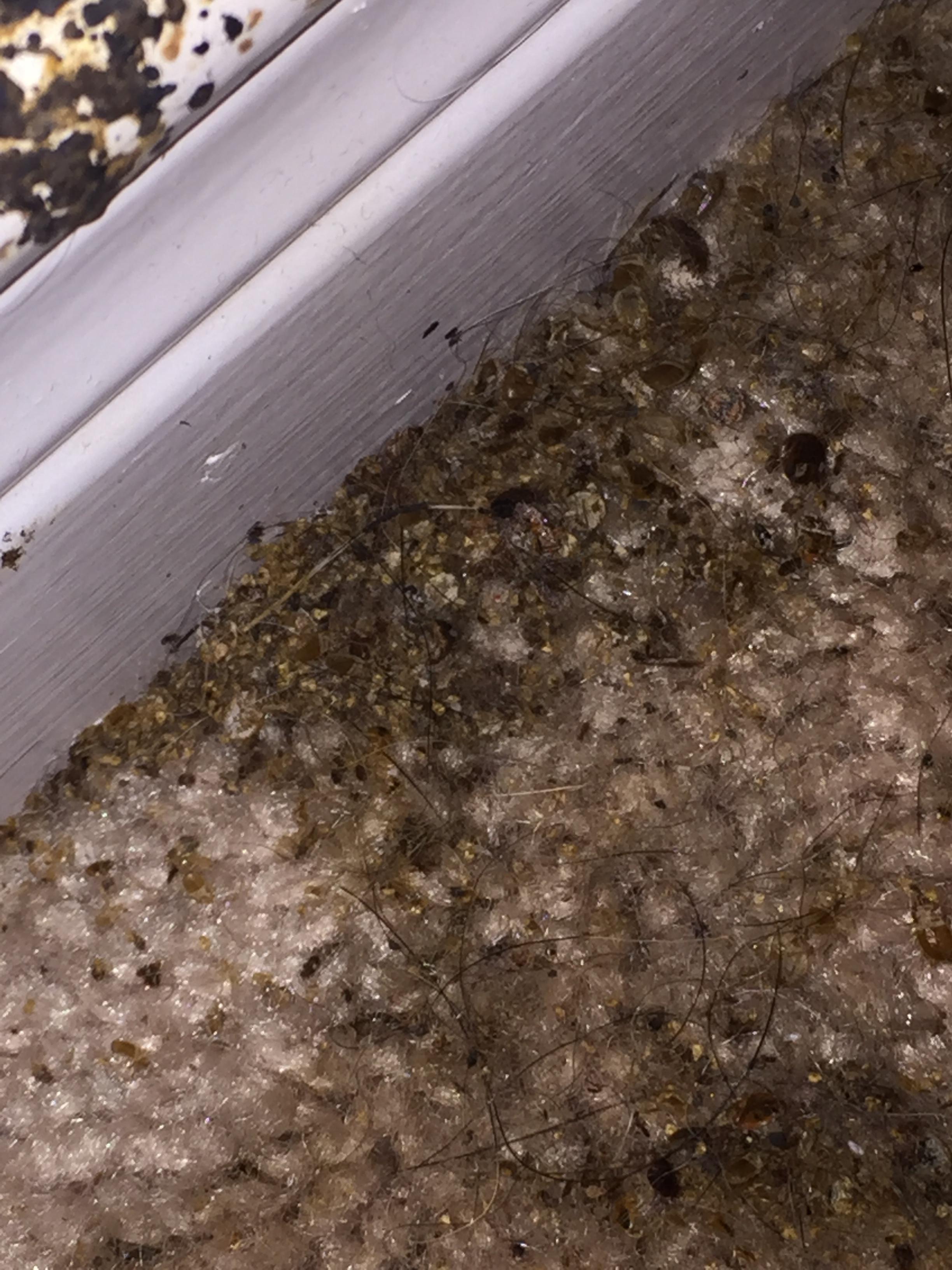 Photo credit: homestars