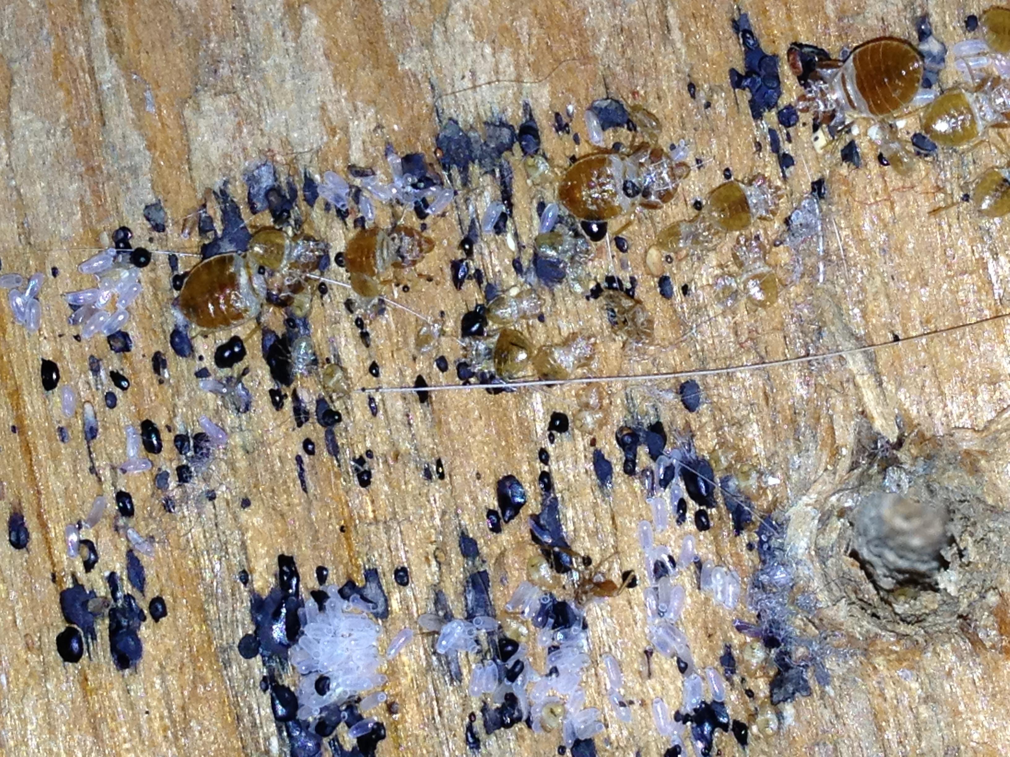 Photo credit: homestars