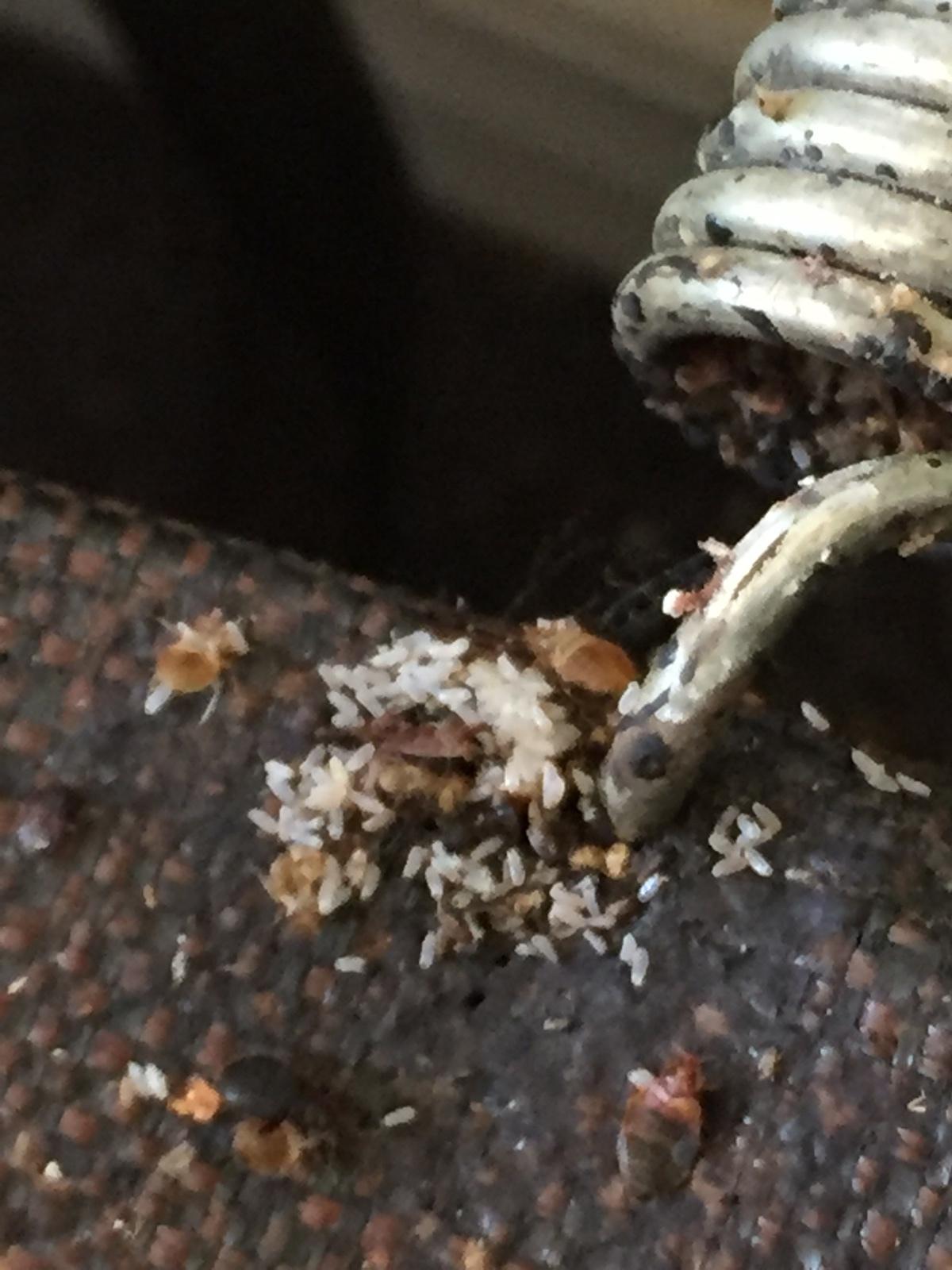 Photo credit: homestars