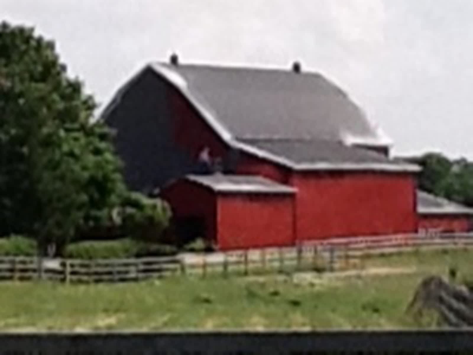 Photo credit: yellowpages.ca