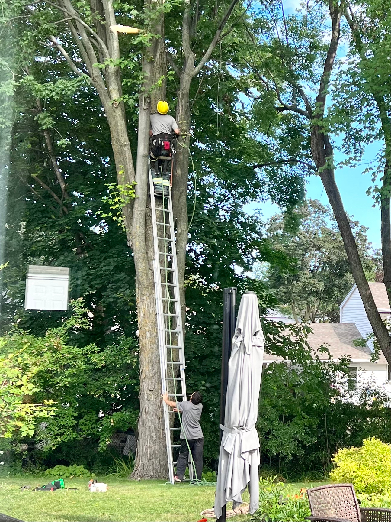 Photo credit: yellowpages.ca