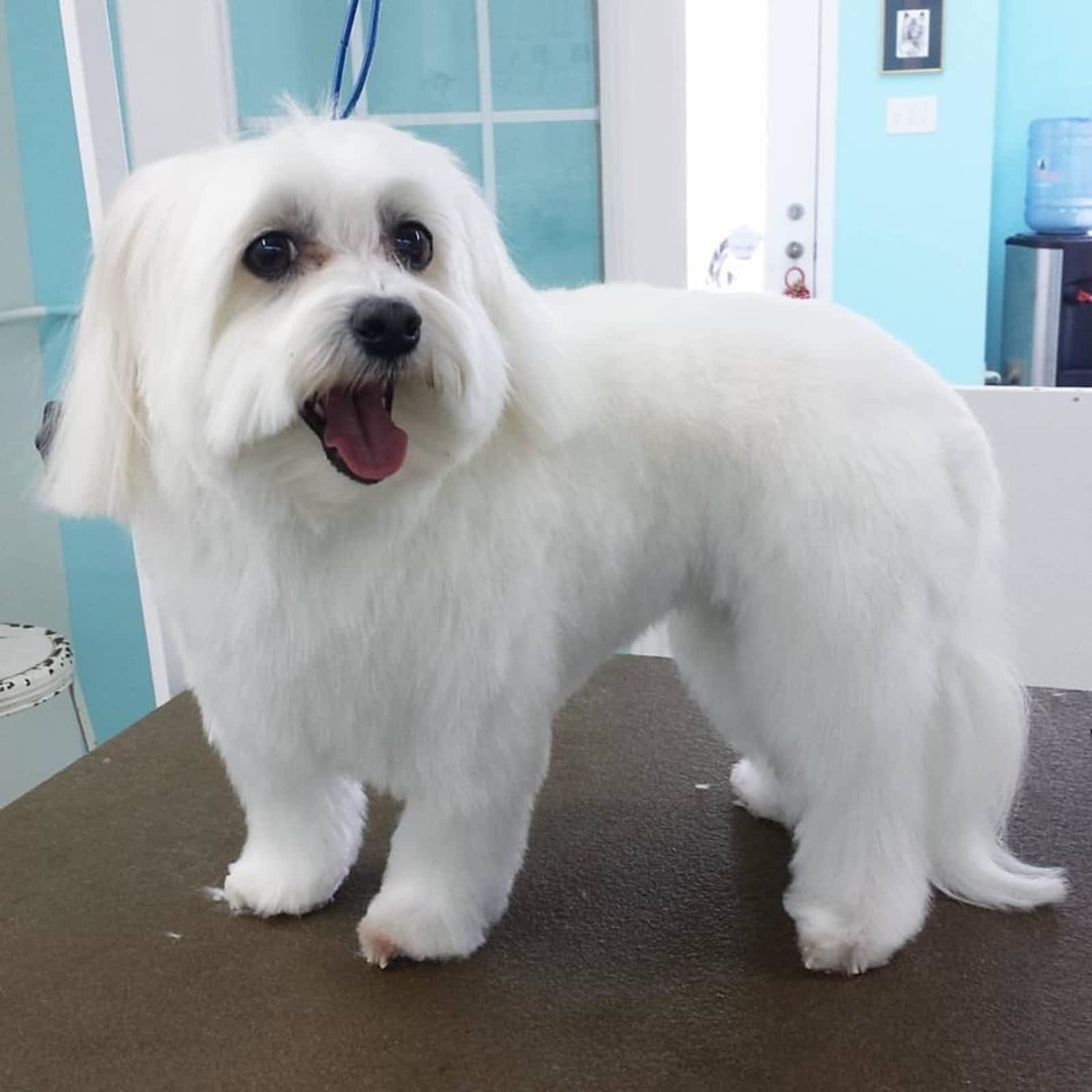 Photo credit: yellowpages.ca