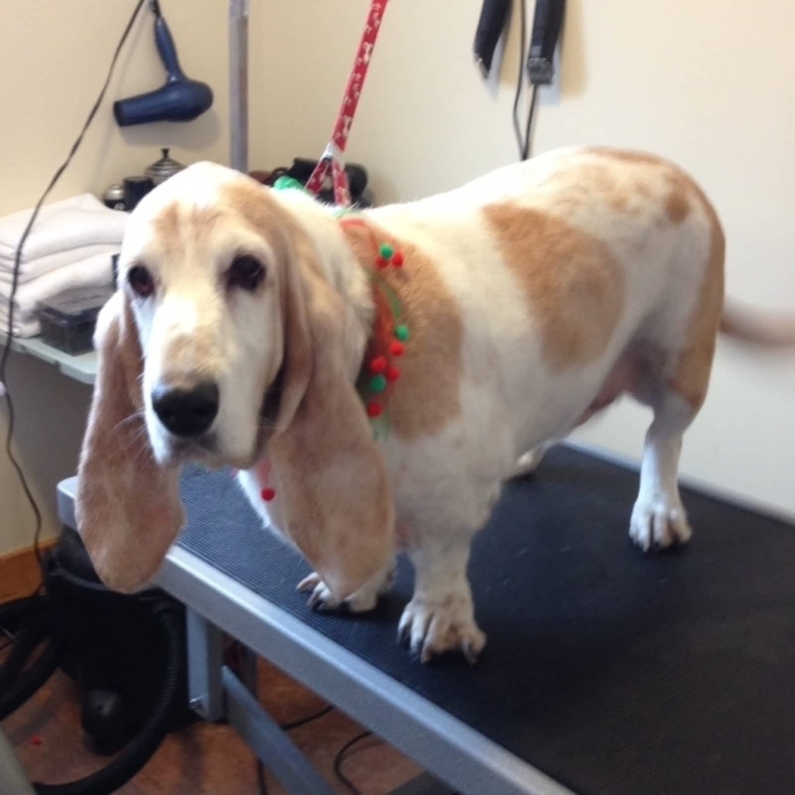 Photo credit: yellowpages.ca