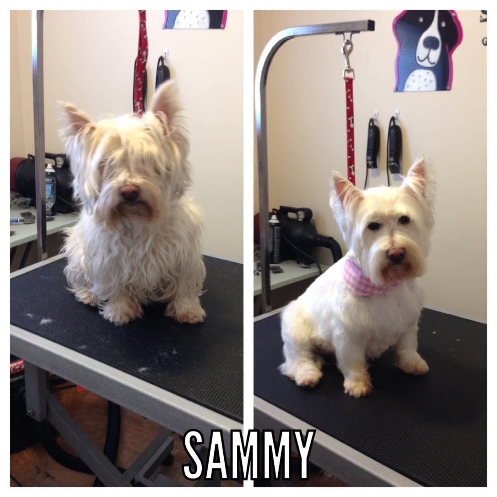 Photo credit: yellowpages.ca