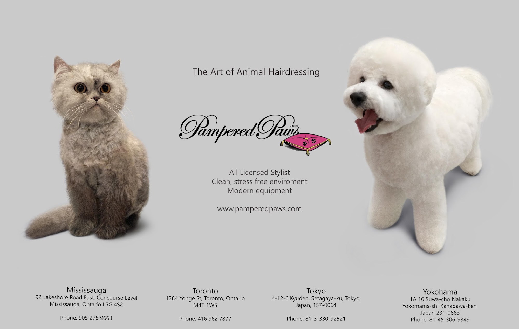 Pampered Paws Limited