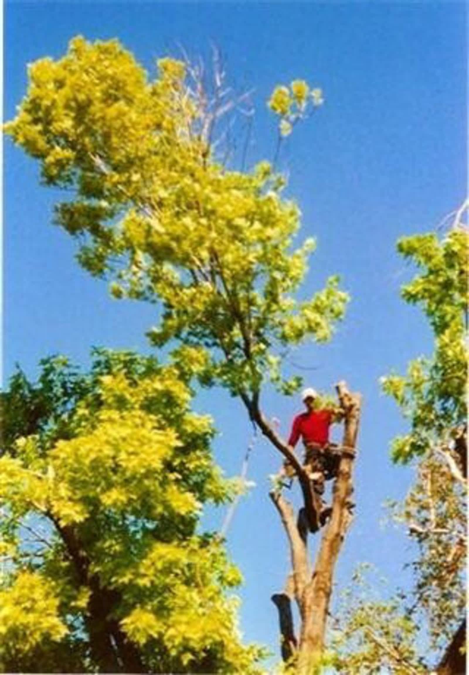 Photo credit: yellowpages.ca