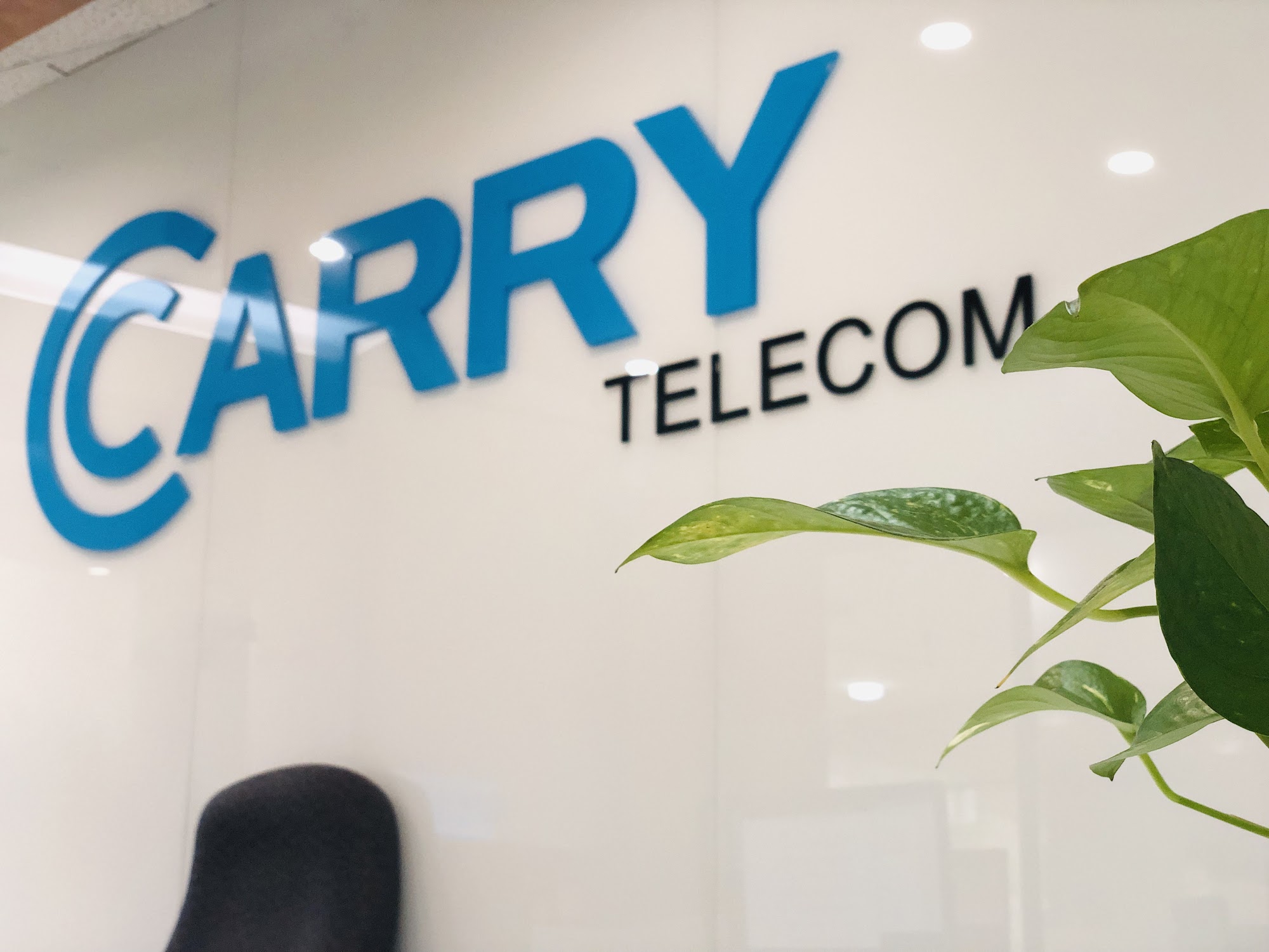 Carry Telecom (Unlimited Internet)