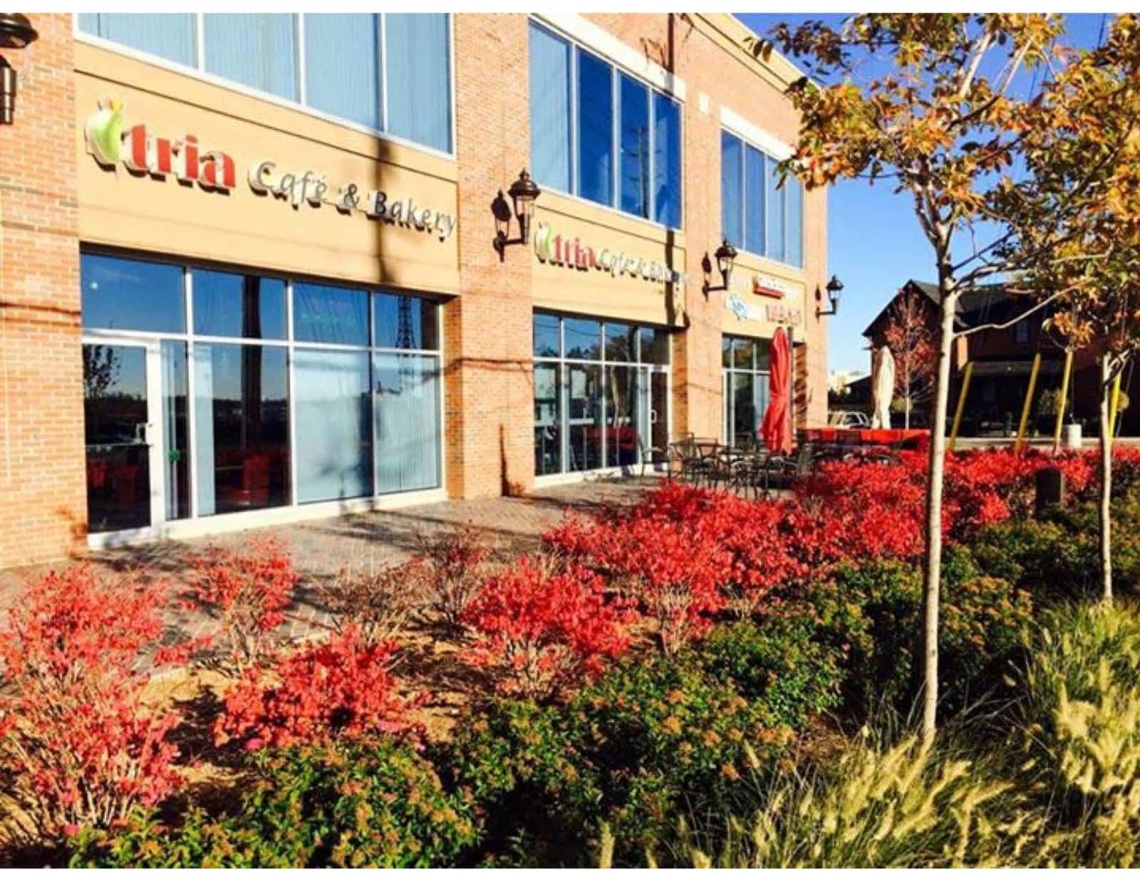 Photo credit: yellowpages.ca