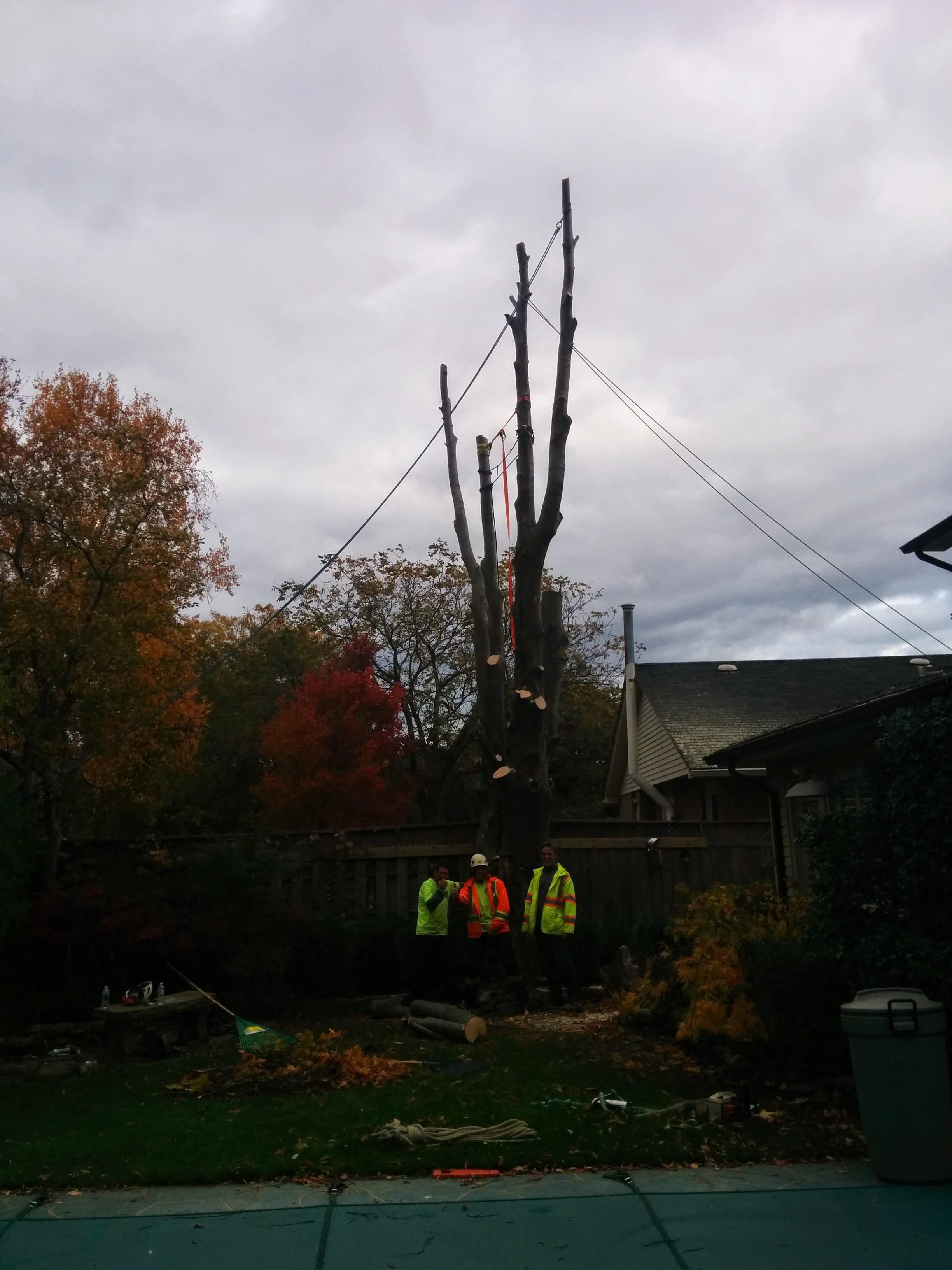 Photo credit: homestars