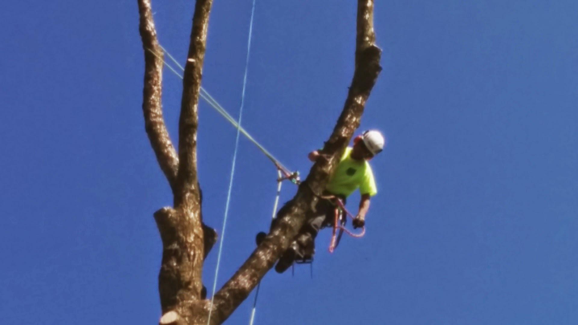 Photo credit: homestars